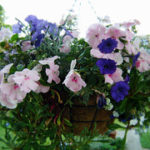 Bits of Blog Business…