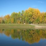Simple Pleasures ~ Autumn Leaves