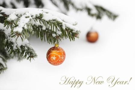 Happy New Year compressed