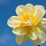 source: shutterstock