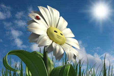 daisy smile compressed