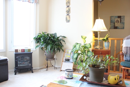 living room 1