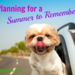 Planning for a Summer to Remember