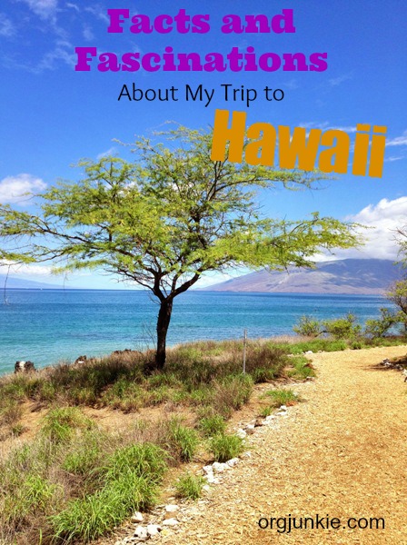Facts and Fascinations About My Trip to Hawaii