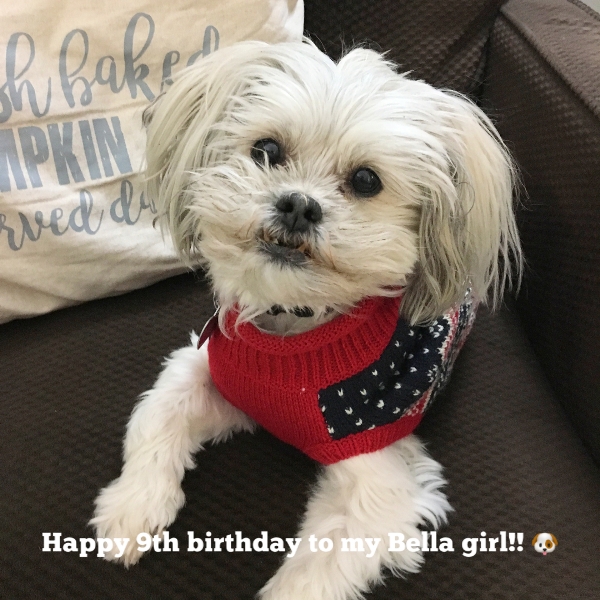 Cute Bella's 9th birthday