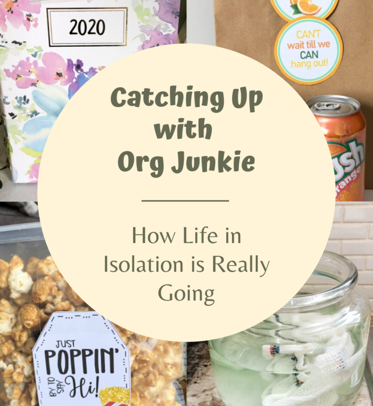 Catching Up with Org Junkie