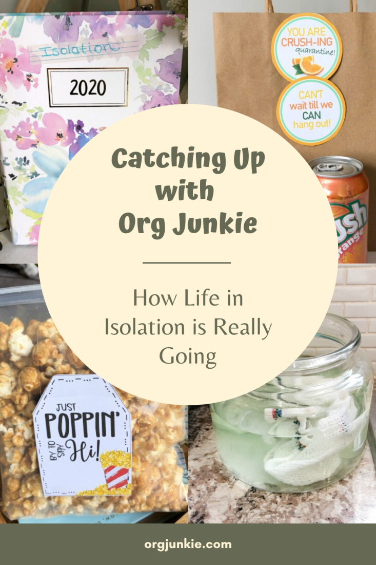 Catching Up with Org Junkie ~ How Life in Isolation is Really Going at I'm an Organizing Junkie blog