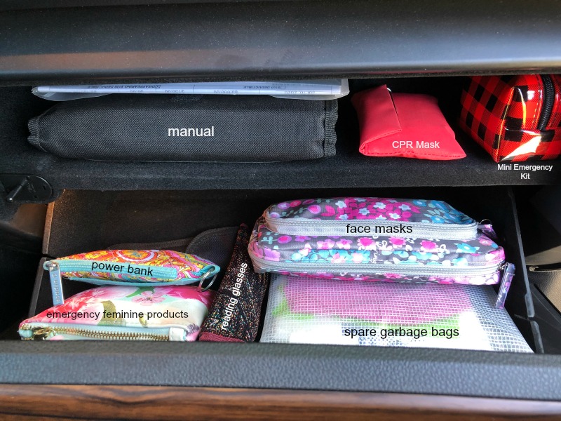 car organization ~ organize with pouches