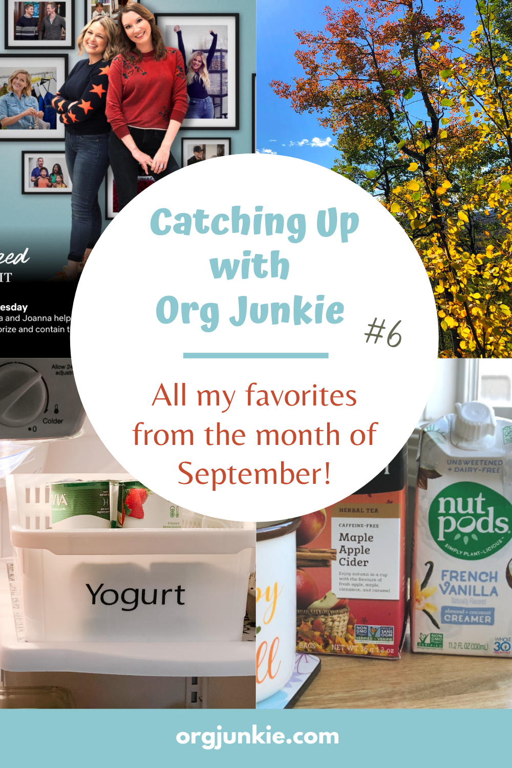 Catching Up with Org Junkie #6 ~ September 2020 Favorites: The Home Edit, Purge Piles & Hope Planner
