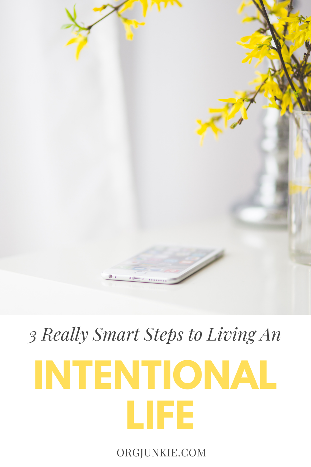 Three Really Smart Steps to Living an Intentional Life at I'm an Organizing Junkie blog