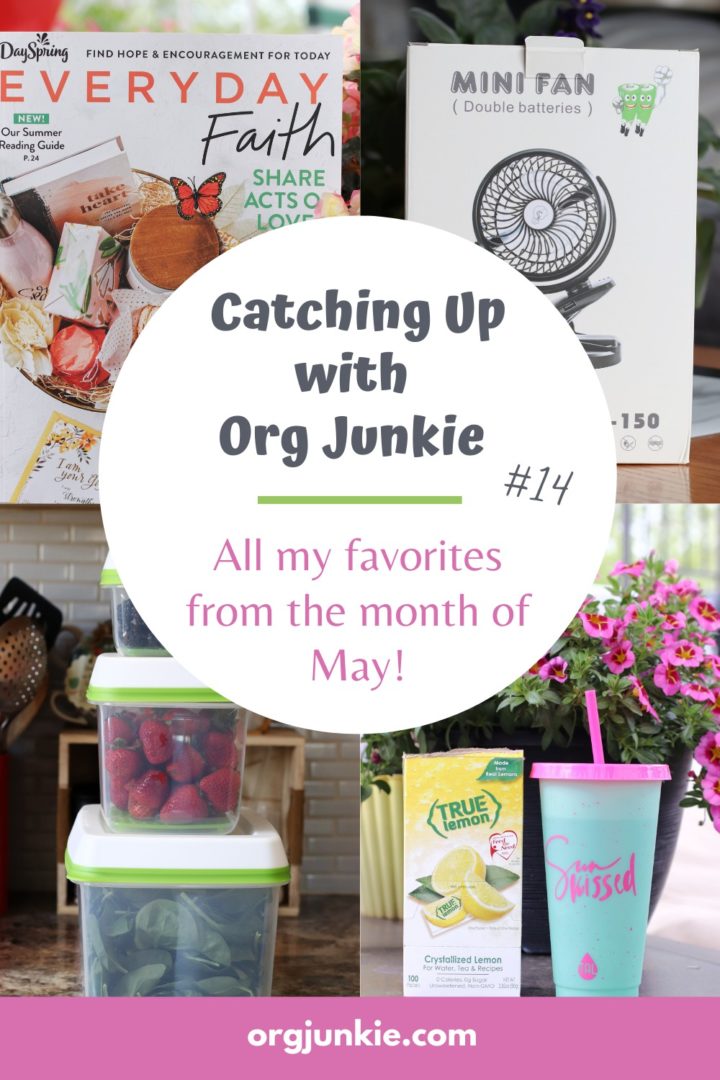 Catching Up With Org Junkie #14 ~ May 2021 Favorites: Rubbermaid, True Lemon & Everyday Faith at I'm an Organizing Junkie